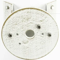 Accessoire Albert 1005 Or, Blanc