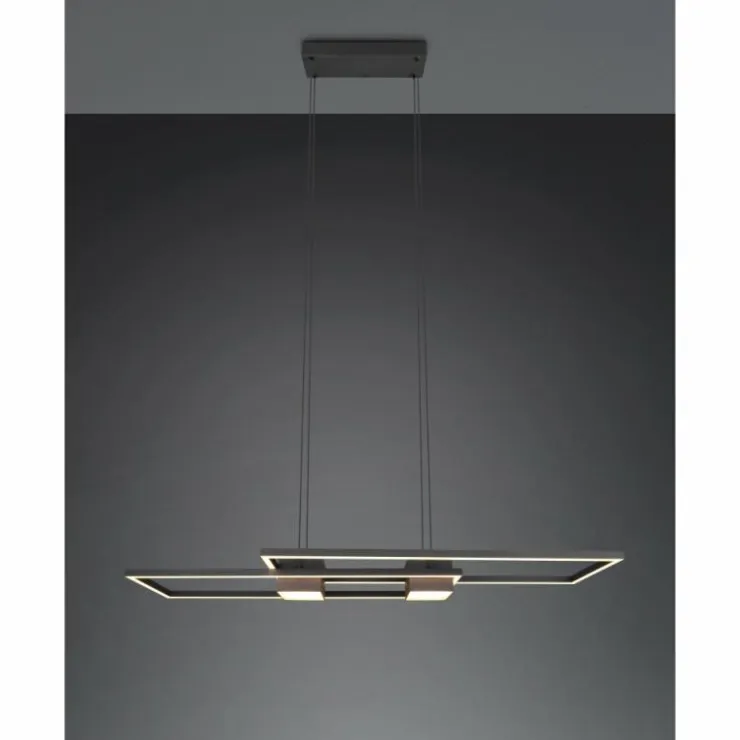 Luminaires Trio Éclairage Led|ALBANY Suspension LED Noir, 1 lumière, Télécommandes