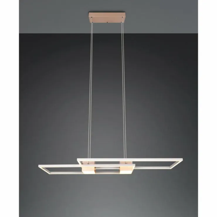 Luminaires Trio Éclairage Led|ALBANY Suspension LED Brun, 1 lumière, Télécommandes