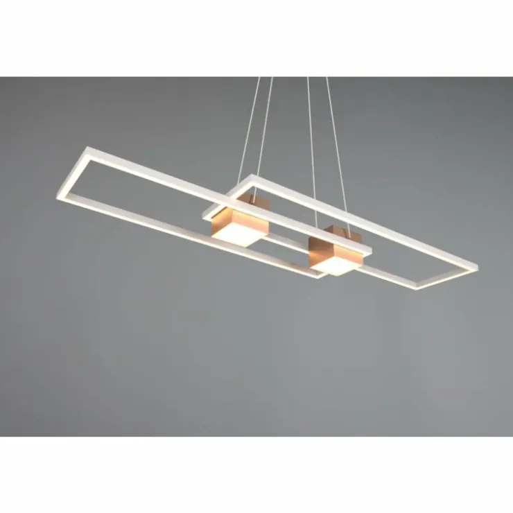 Luminaires Trio Éclairage Led|ALBANY Suspension LED Brun, 1 lumière, Télécommandes