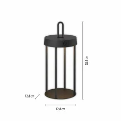 ANSELM Lampe à poser Luminaires Leuchten Direkt LED Noir, 1 lumière