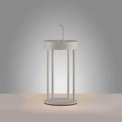 ANSELM Lampe à poser Luminaires Leuchten Direkt LED Gris, 1 lumière