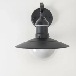 Applique murale d'extérieur Broni Noir, 1 lumière