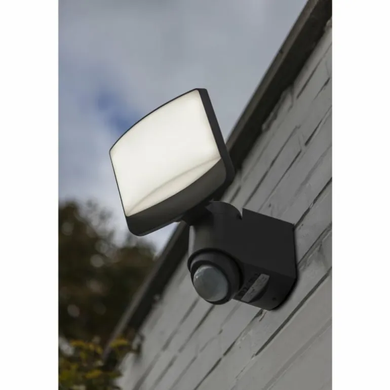 Applique murale d'extérieur Lutec Sunshine LED Anthracite, 1 lumière, Détecteur de mouvement