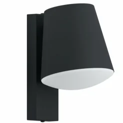 Applique murale d'extérieur Eglo Connect CALDIERO LED Anthracite, 1 lumière