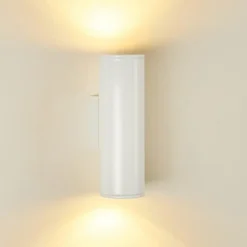 Applique murale d'extérieur Brachy LED Blanc, 2 lumières