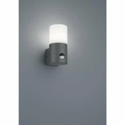 Applique murale d'extérieur Trio HOOSIC Anthracite, 1 lumière, Détecteur de mouvement