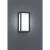Applique murale d'extérieur Trio TIMOK Anthracite, 1 lumière