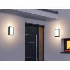 Applique murale d'extérieur Trio TIMOK Anthracite, 1 lumière