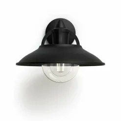 Applique murale d'extérieur Philips Cormorant Noir, 1 lumière