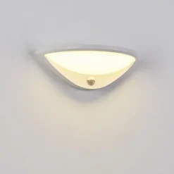 Applique murale d'extérieur Carano LED Blanc, 1 lumière, Détecteur de mouvement