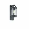 Applique murale d'extérieur Trio Leuchten SAMBESI Anthracite, 1 lumière