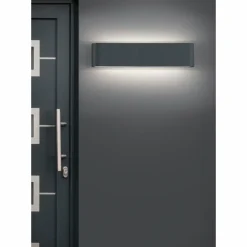 Applique murale d'extérieur Trio Leuchten THAMES II LED Anthracite, 2 lumières