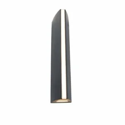 Applique murale d'extérieur Lutec LEO LED Anthracite, 1 lumière