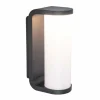 Applique murale d'extérieur Lutec ADALYN LED Anthracite, 1 lumière