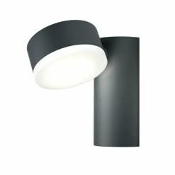 Applique murale d'extérieur LEDVANCE ENDURA Noir, 1 lumière