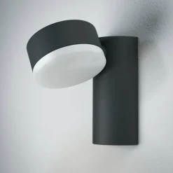 Applique murale d'extérieur LEDVANCE ENDURA Noir, 1 lumière