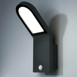 Applique murale d'extérieur LEDVANCE ENDURA Noir, 1 lumière, Détecteur de mouvement