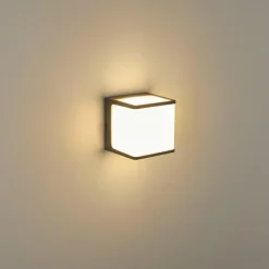 Applique murale d'extérieur Buckau LED Anthracite, Blanc, 1 lumière
