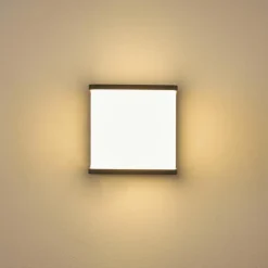 Applique murale d'extérieur Buckau LED Anthracite, Blanc, 1 lumière