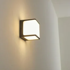 Applique murale d'extérieur Buckau LED Anthracite, Blanc, 1 lumière