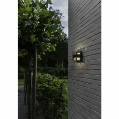 Applique murale d'extérieur Lutec DELTA Anthracite, 1 lumière