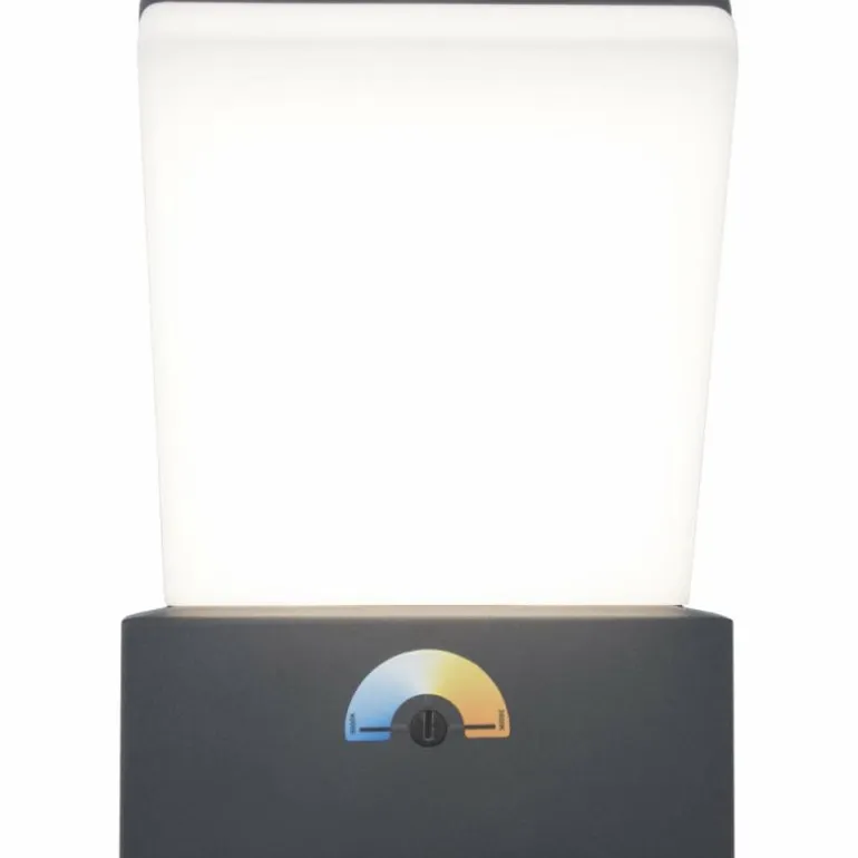 Applique murale d'extérieur Lutec Pano LED Anthracite, 1 lumière