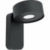 Applique murale d'extérieur Eglo PALOSCO LED Noir, 1 lumière