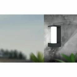 Applique murale d'extérieur Eglo CIVIDINO LED Noir, 1 lumière