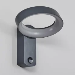 Applique murale d'extérieur Carinola LED Anthracite, 1 lumière, Détecteur de mouvement