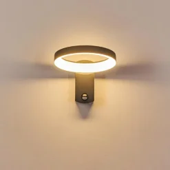 Applique murale d'extérieur Carinola LED Anthracite, 1 lumière, Détecteur de mouvement