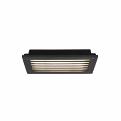 Applique murale d'extérieur Trio Hardey LED Anthracite, 1 lumière