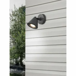 Applique murale d'extérieur Trio Kaveri Anthracite, 1 lumière