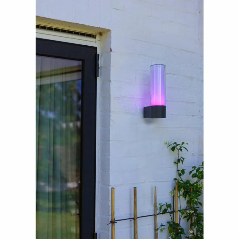 Applique murale d'extérieur Lutec DROPA LED Anthracite, 1 lumière, Changeur de couleurs