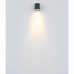 Applique murale d'extérieur Globo VERONIKA Anthracite, 1 lumière