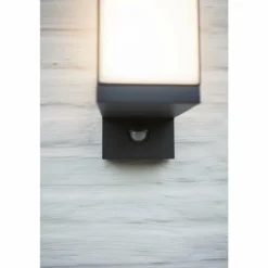 Applique murale d'extérieur Lutec CUBA LED Anthracite, 1 lumière, Détecteur de mouvement