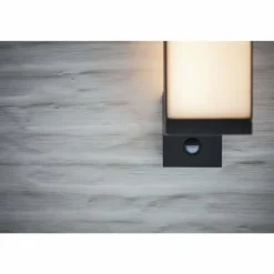 Applique murale d'extérieur Lutec CUBA LED Anthracite, 1 lumière, Détecteur de mouvement
