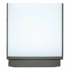 Applique murale d'extérieur Lutec CUBA LED Anthracite, 1 lumière