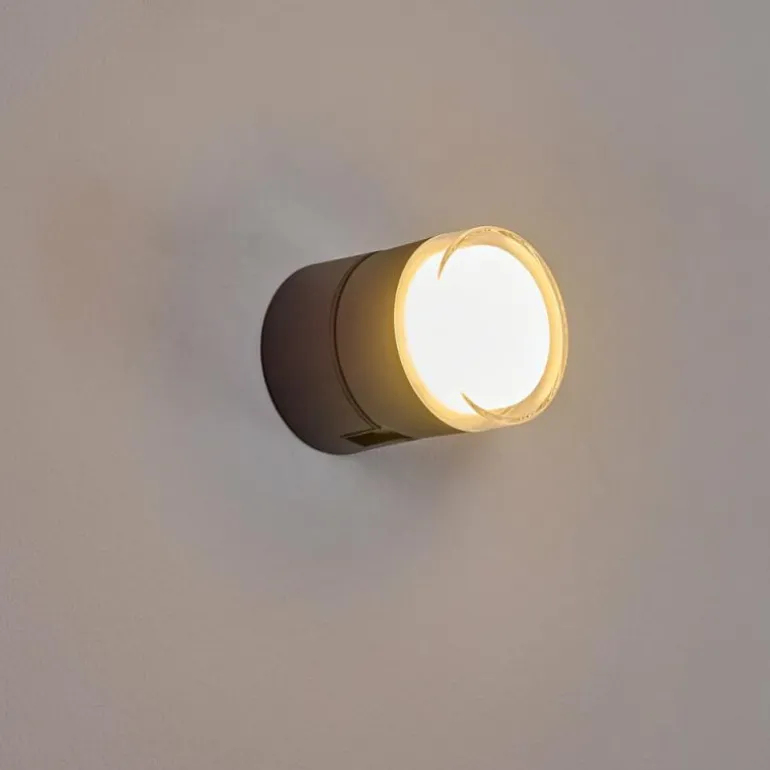 Applique murale d'extérieur Papagayos LED Anthracite, 1 lumière, Changeur de couleurs