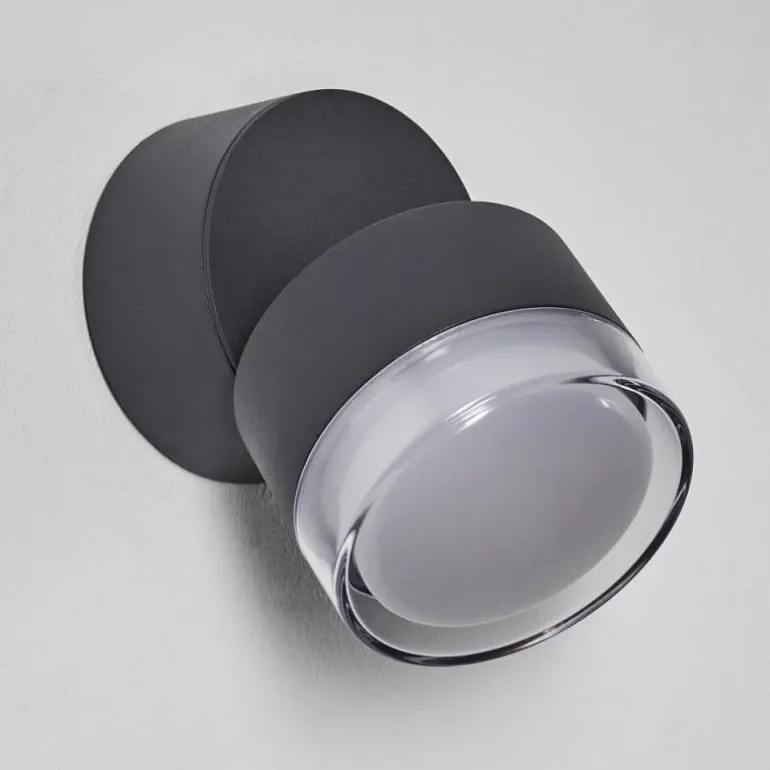 Applique murale d'extérieur Papagayos LED Anthracite, 1 lumière, Changeur de couleurs