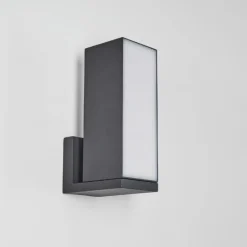 Applique murale d'extérieur Swanek LED Anthracite, 1 lumière
