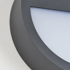 Applique murale d'extérieur Nagap LED Anthracite, Blanc, 1 lumière