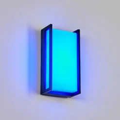 Applique murale d'extérieur Skove LED Anthracite, 1 lumière, Changeur de couleurs