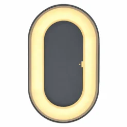 Applique murale d'extérieur Globo SURA LED Anthracite, 1 lumière