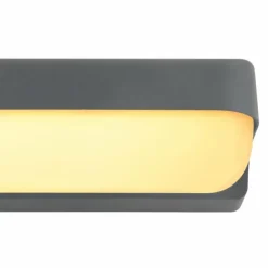 Applique murale d'extérieur Globo HONNA LED Anthracite, 1 lumière