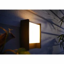 Applique murale d'extérieur Philips Hue White Fuzo LED Noir, 1 lumière