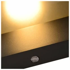 Applique murale d'extérieur Lucide LIAM Anthracite, 1 lumière