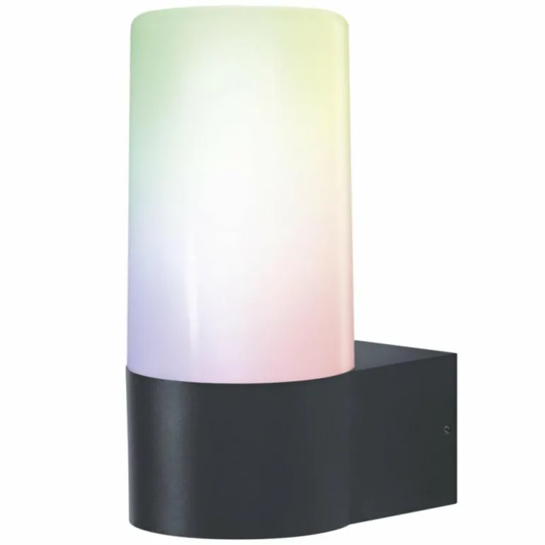 Applique murale d'extérieur LEDVANCE Smart+ Gris, 1 lumière