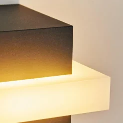 Applique murale d'extérieur Lisalara LED Anthracite, Blanc, 1 lumière