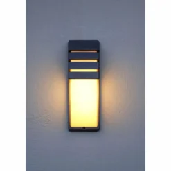 Applique murale d'extérieur Lutec CITY Anthracite, 1 lumière